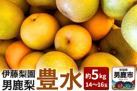 【先行受付】男鹿梨 「伊藤梨園」の豊水 梨 約5kg 2L～3L 14～16玉 秋田県 男鹿市 旬の果物 2026年9月下旬以降出荷