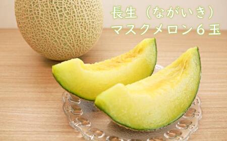 長生マスクメロン１箱６玉入（約９kg）【2026年夏発送分】