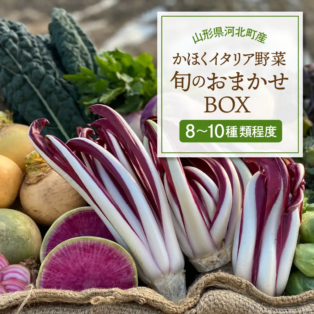 かほくイタリア野菜 旬のおまかせBOX（8～10種類）　野菜 山形