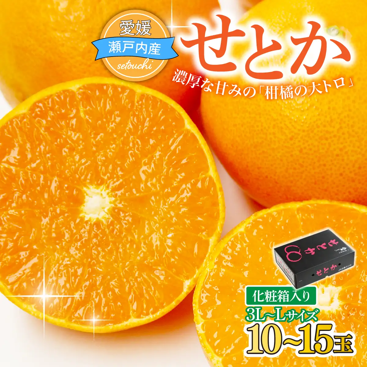 みかん せとか 化粧箱 3L～Lサイズ 10～15玉