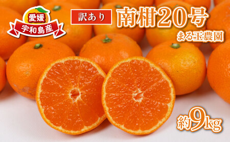 訳あり みかん 南柑20号 9kg まる玉農園 ﾐｶﾝﾐｶﾝﾐｶﾝﾐｶﾝﾐｶﾝﾐｶﾝﾐｶﾝﾐｶﾝﾐｶﾝﾐｶﾝﾐｶﾝﾐｶﾝ B010-172001
