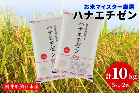 令和7年産 ハナエチゼン 10kg（5kg × 2袋）