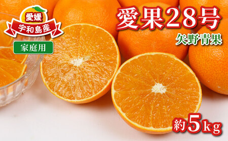 【愛果28号】 愛果28号 5kg 矢野青果 B014-171003