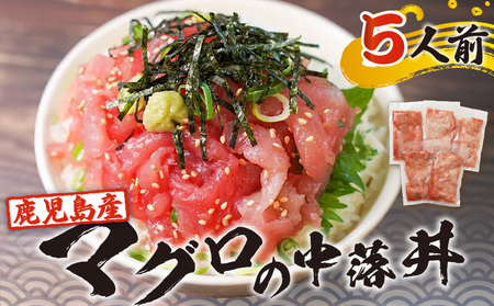 鹿児島産マグロの中落丼 5人前 K100-004 魚 冷凍