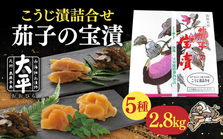 茄子 の 宝漬 （こうじ漬 詰合） / 漬物 つけもの ツケモノ なす こうじ きゅうり 大根 生姜 瓜 もろみ つけもの ツケモノ ツケモノ/ 南島原市 / 大平食品 [SAK003]