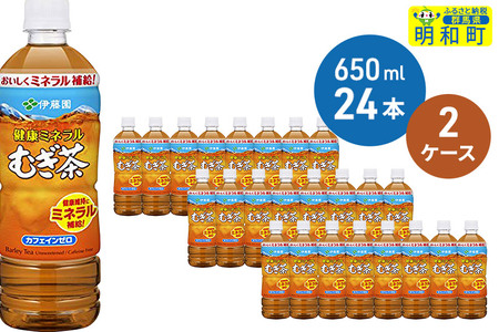 伊藤園 健康ミネラルむぎ茶 ＜650ml×24本＞【2ケース】
