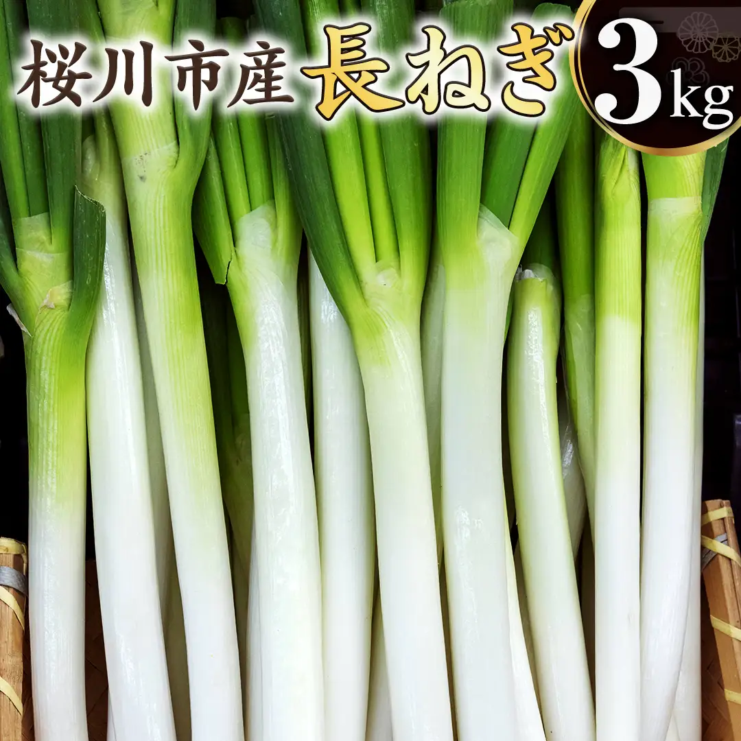桜川市産 長ねぎ 約3kg ねぎ ネギ 野菜 鍋 [EH001sa]