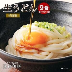 生うどん 麺のみ 9食（300g×3袋）普通麺｜うどん 生麺 生うどんうどん 麺 めん 人気 うどん めん 人気 生めん うどん