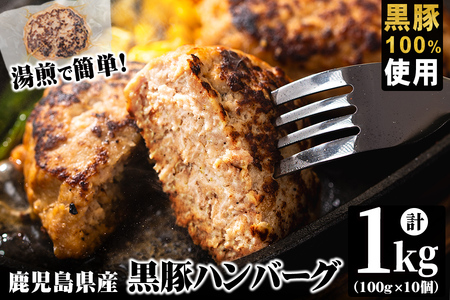 鹿児島県黒豚 100%使用 黒豚ハンバーグ(計1kg・100g×10個) a1-092