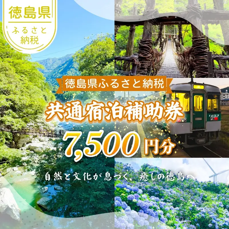 共通宿泊補助券 7,500円分 徳島 宿泊