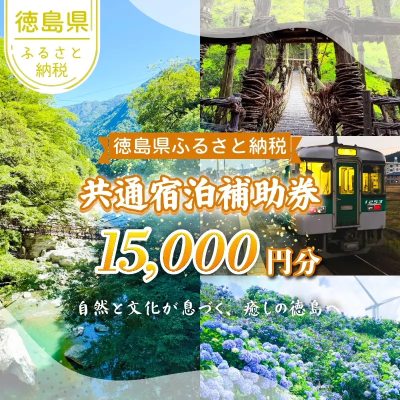 共通宿泊補助券 15,000円分 徳島 宿泊