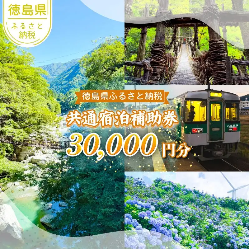 共通宿泊補助券 30,000円分 徳島 宿泊