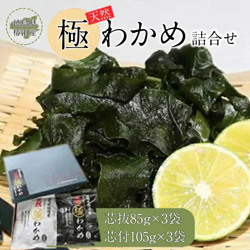徳島県椿泊産天然極わかめ詰合せ 計570g（6袋）わかめ