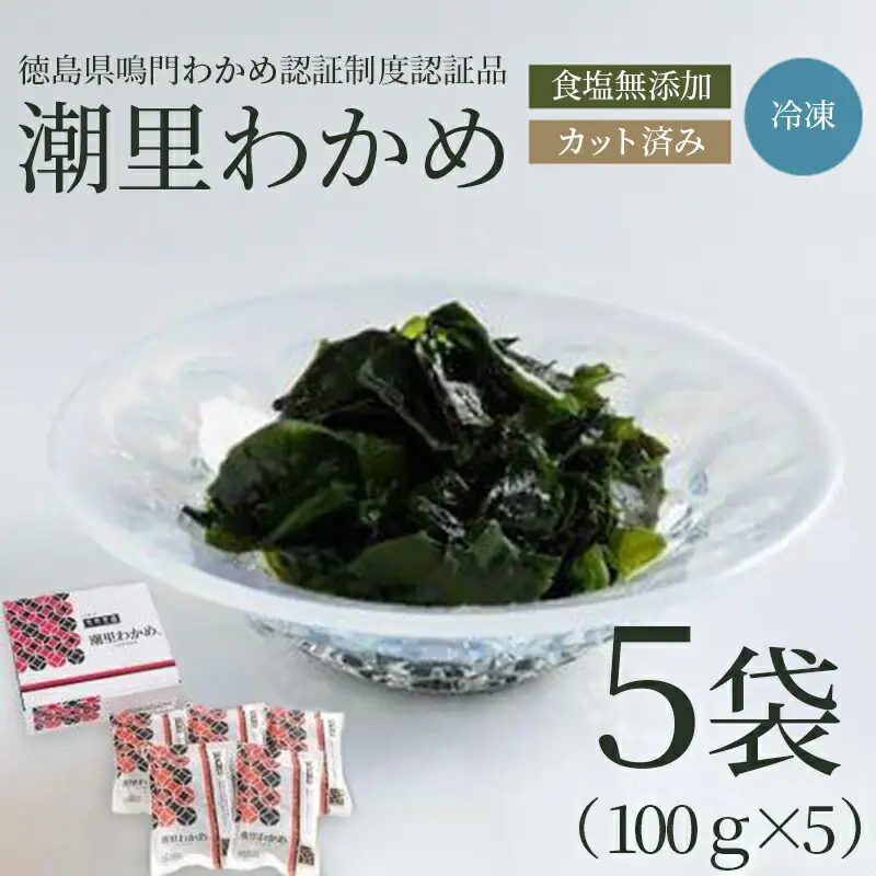わかめ 国産 500g 100g × 5袋 わかめ