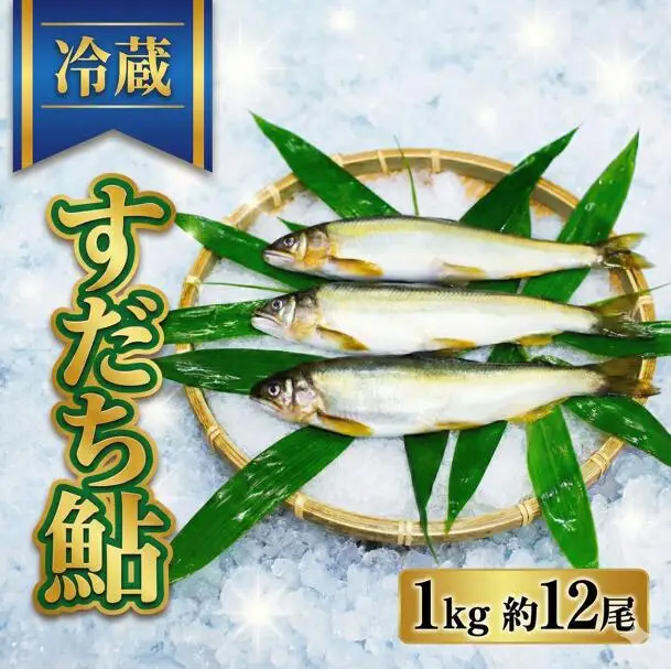 すだち 鮎 1kg 鮎