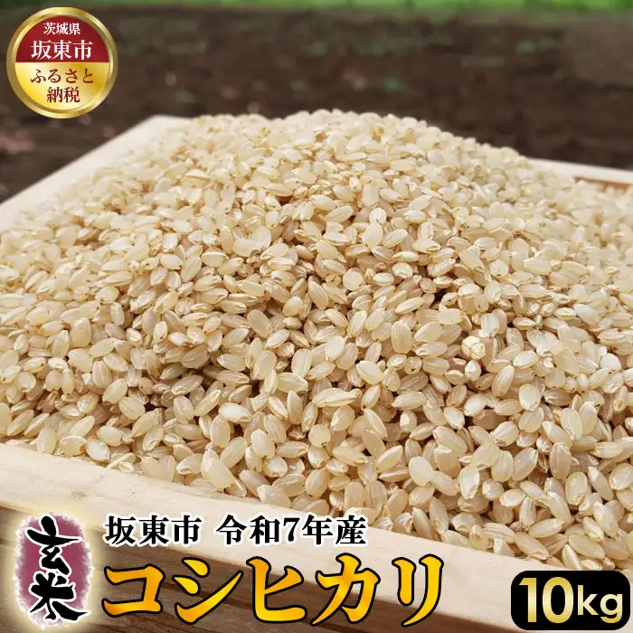 玄米　コシヒカリ10kg【令和7年産】 ／ こしひかり 令和7年 新米 米 お米 おこめ こめ コメ 玄米 げんまい ご飯 国産米 10kg 10キロ 食物繊維 ビタミン ミネラル おいしい お取り寄せ 産地直送 産直 坂東市産 茨城県産 茨城産 茨城県 特産品 No.401
