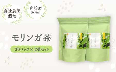 モリンガ茶　30パック×2袋セット 紅茶 ハーブティ