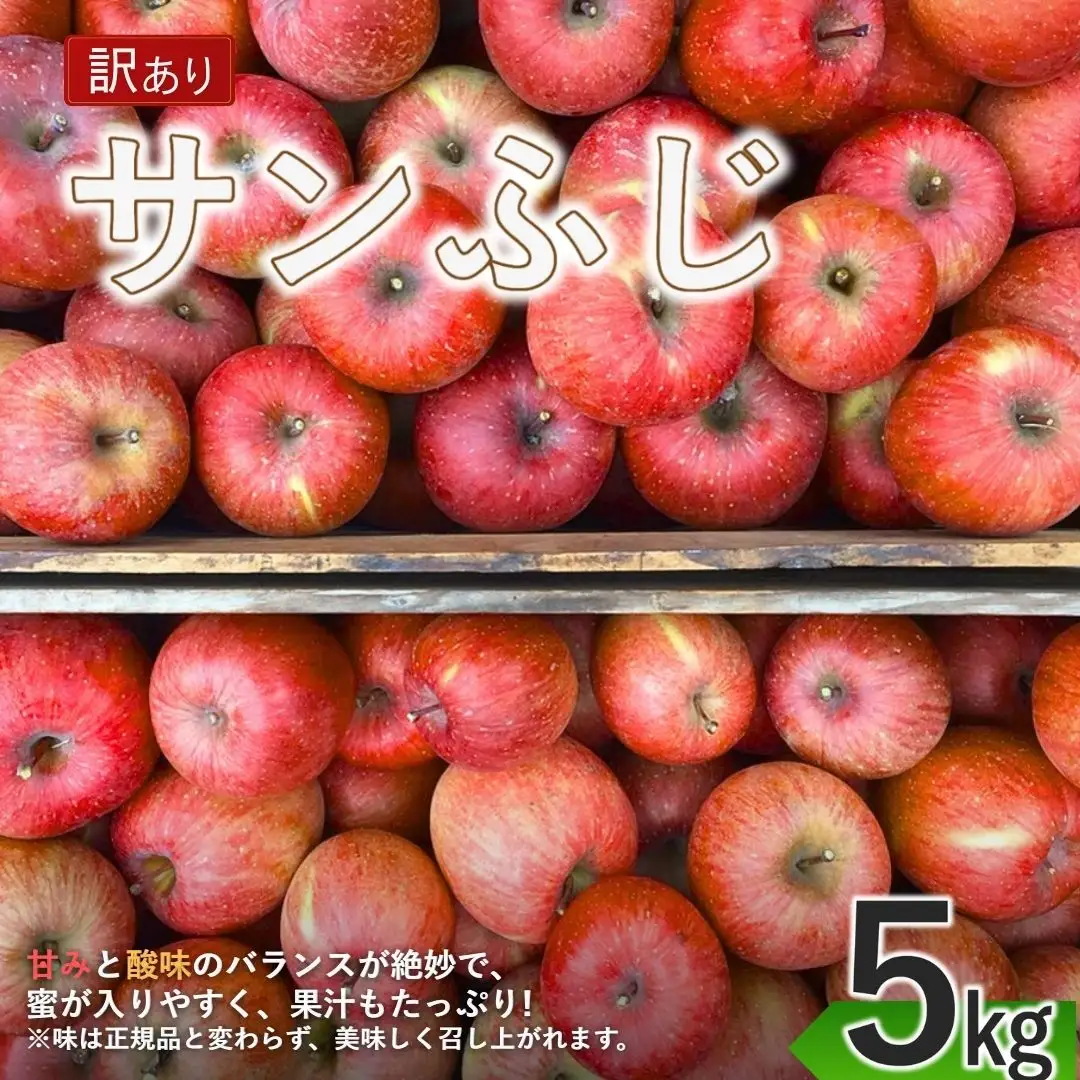 【2026年先行予約】訳あり りんご サンふじ 家庭用 約5kg |りんご
