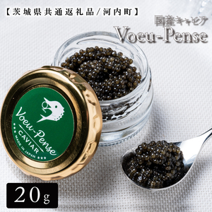 【数量限定】国産キャビアVoeu-Pense【茨城県共通返礼品/河内町】（GQ-1）