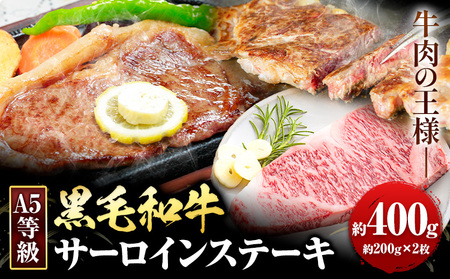 黒毛和牛 A5等級 肉 和牛 国産 牛肉 サーロイン ステーキ ステーキ肉 約400g (約200g×2枚) 有限会社ホーティカルチャー神島《30日以内に出荷予定(土日祝除く)》岡山県 浅口市 冷凍 分厚い送料無料