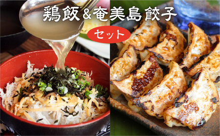 奄美のおもてなし料理「鶏飯」＆こだわりの奄美島豚餃子セット A011-006 郷土料理 惣菜 島料理 ご当地グルメ おもてなし料理 鹿児島 奄美市 奄美大島 島料理 冷凍 島豚 スープ レトルト
