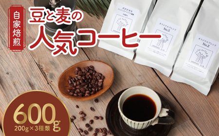 【自家焙煎】豆と麦の人気コーヒー 200g×3種類セット（粉） A017-012-02 自家焙煎コーヒー 詰め合わせ 3種 各200g セット 粉 グアテマラ コロンビア エチオピア ブラジル モカ 奄美大島 オリジナルブレンド 珈琲 ホット アイス 癒し ギフト