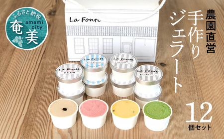 【 La Fonte 】 手づくり ジェラート 奄美 12個 セット A084-002 アイス フルーツジェラート パッションフルーツ マンゴー たんかん スモモ 奄美黒糖 海塩 ジェラートセット 手作り 純黒糖 冷凍便 冷凍 新鮮 甘い 美味しい お任せ LaFonteラフォンテ ふるさと納税 鹿児島 奄美市 おすすめ ランキング プレゼント ギフト