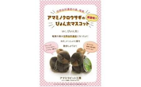 やまね工房　アマミノクロウサギ　ぴょん太　ぬいぐるみ　ウサギ アマミノクロウサギ「ぴょん太マスコット」 A107-005 ぬいぐるみ
