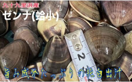 うま味が濃い純白出汁の天然”ゼンナ”冷凍（蛤小）2kg入り 魚貝類 旨み 濃厚な出汁 天然はまぐり 身が厚い 甘み 貝 海の幸 海鮮 国産 九十九里浜産 