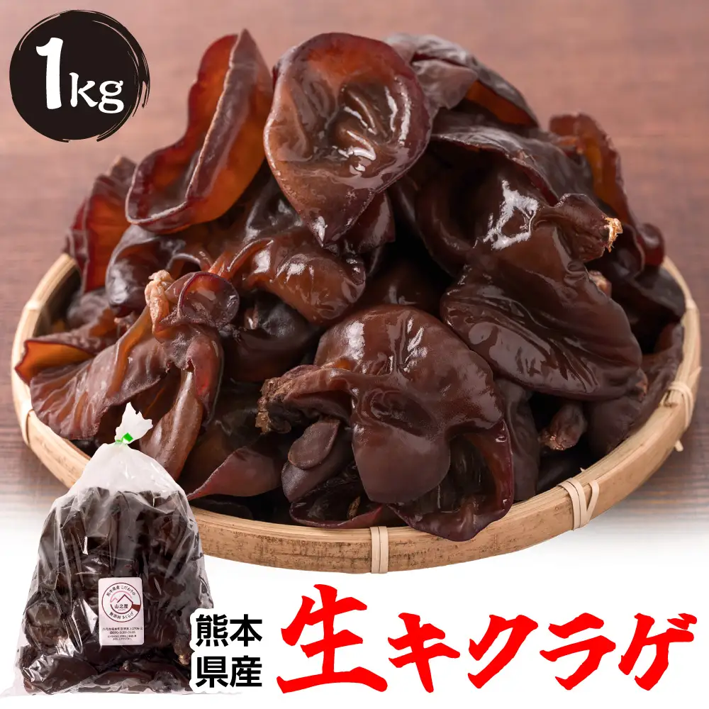 熊本県産 生キクラゲ 1kg きくらげ