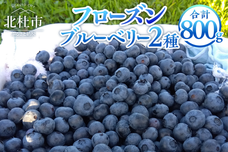 ビッグりサイズの『フローズンブルーベリー（冷凍ブルーベリー）』400g×2品種 [h245]