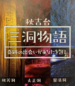 三洞周遊共通チケット「秋吉台三洞物語」（大人）