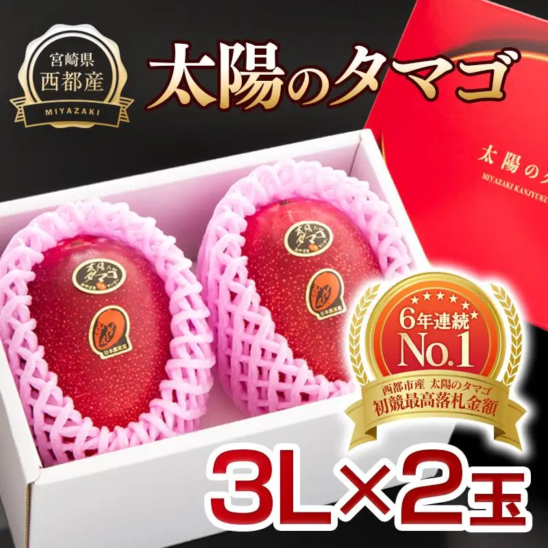 【先行予約】最高級ブランド『太陽のタマゴ』3L×2個【糖度15度以上】宮崎県西都市産完熟マンゴー 2026年発送＜26-6a＞