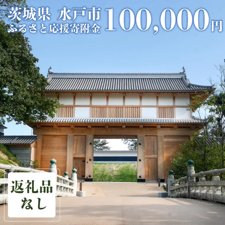 【返礼品なし】 茨城県 水戸市 ふるさと応援寄附金 ( 100,000円 )(GT-6)