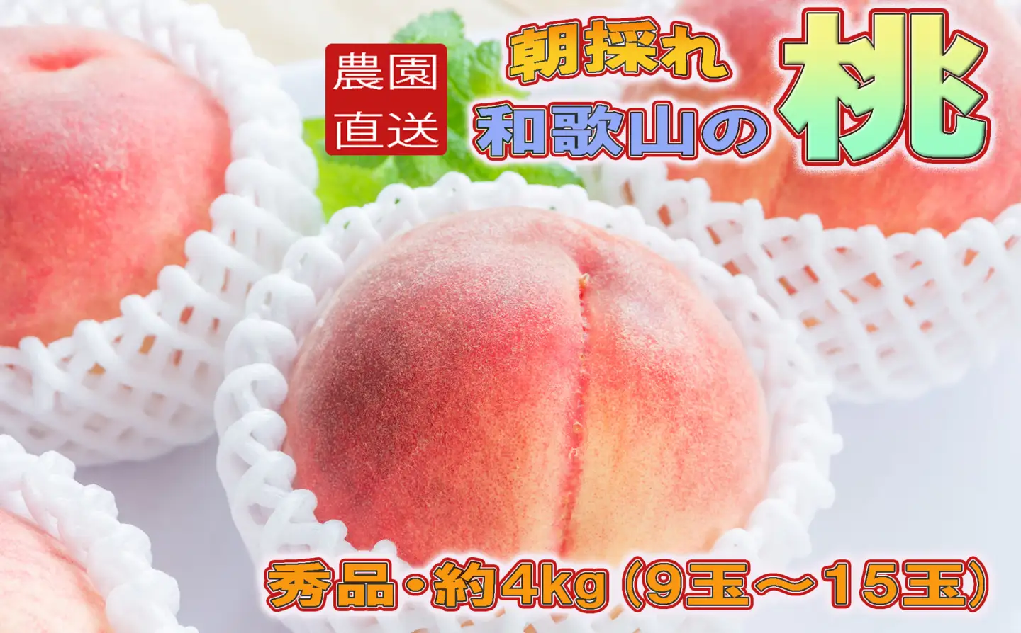 桃 【農園直送】朝採れ和歌山の桃　約4kg・秀品【2026年6月下旬～2026年8月上旬頃に順次発送予定】【TM168】【TM006-tec911B】