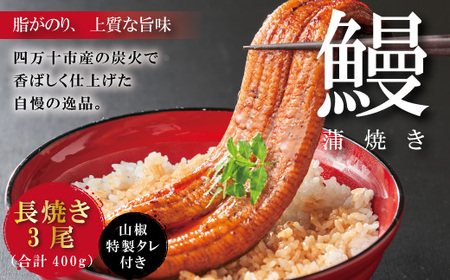 26-367．＜四万十食品＞うなぎ蒲焼　長焼3尾／ＣＤ