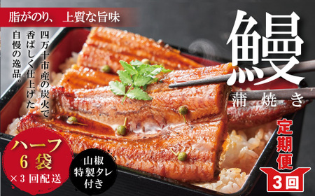 26-630．【3回定期便】＜四万十食品＞うなぎ蒲焼　ハーフ６袋／ＣＤ【3回お届け】