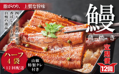26-1058．【12回定期便】お楽しみ企画 12ヵ月連続＜四万十食品＞うなぎ蒲焼 ハーフ4袋／ＢＣ
