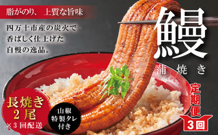 26-1059．【3回定期便】お楽しみ企画 3ヵ月連続＜四万十食品＞うなぎ蒲焼 長焼2尾／ＢＣ