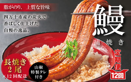 26-1061．【12回定期便】お楽しみ企画 12ヵ月連続＜四万十食品＞うなぎ蒲焼 長焼2尾／ＢＣ