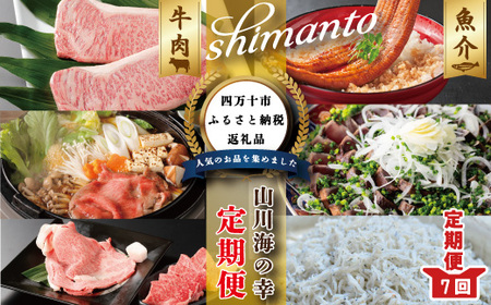 26-068．【7ヵ月連続定期便】四万十市人気魚介＆お肉返礼品