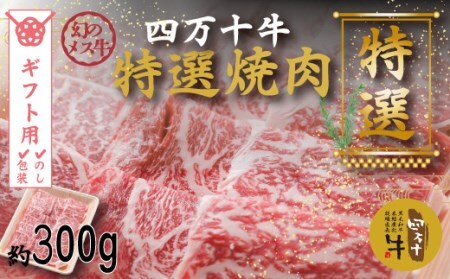【ギフト用（包装・のし対応）】26-976G．幻のメス牛 四万十牛特選焼肉（約300ｇ）