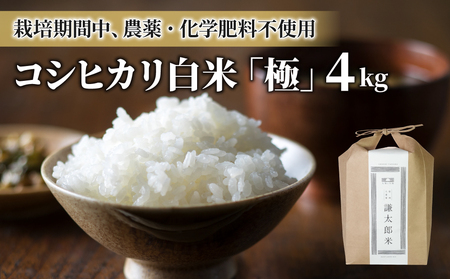 【太陽と大地】令和7年産「八重原産コシヒカリ白米「極」（栽培期間中農薬化学肥料不使用）４kg」