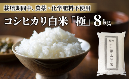 【太陽と大地】令和7年産「八重原産コシヒカリ白米「極」（栽培期間中農薬化学肥料不使用）８kg」
