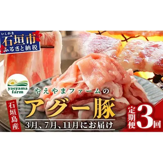 【3回定期便】石垣島産 やえやまファームのアグー豚の 3回定期便（3月、7月、11月お届け）｜南ぬ豚 アグー豚 焼肉 食べ比べ 豚肉 石垣 石垣島 沖縄 八重山 やえやまファーム  E-30-1