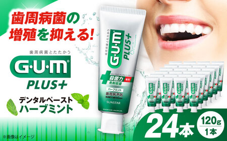 歯磨き粉 ガム・プラス デンタルペースト（ハーブミント）[AOAD027] 歯磨き粉