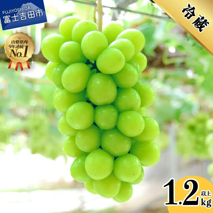 山梨県産シャインマスカット2～3房 (1.2kg以上) 【2026年発送