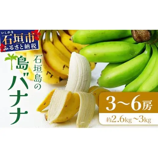石垣島の島バナナ 3～6房 (約2.6～3kg前後入り)  SI-34
