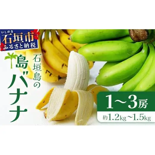 石垣島の島バナナ 1～3房 (約1.2～1.5kg前後入り)  SI-33