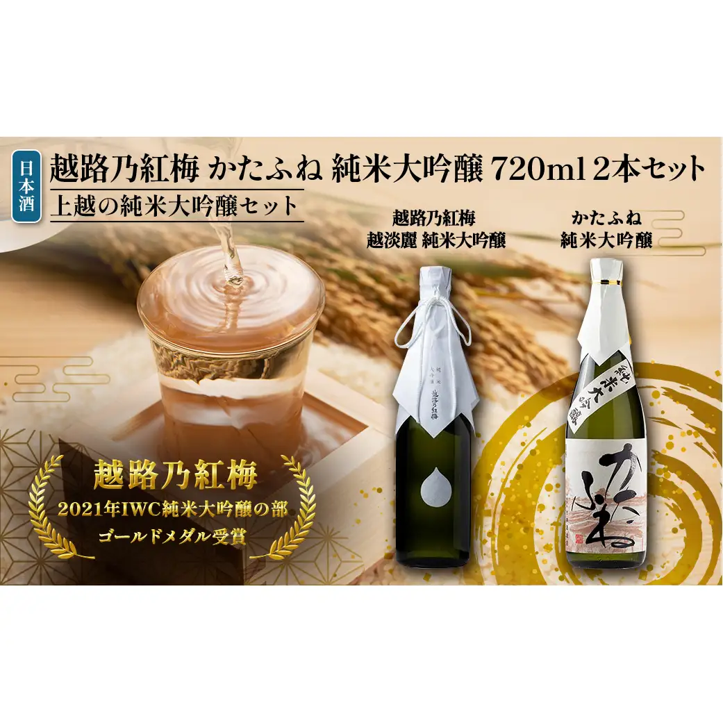 日本酒 【令和7酒造年度全国新酒鑑評会 金賞受賞】 越路乃紅梅 越淡麗 かたふね 純米大吟醸 720ml 2本 セット お酒 おすすめ 酒 ふるさと納税 新潟 新潟県産 にいがた 上越 上越産